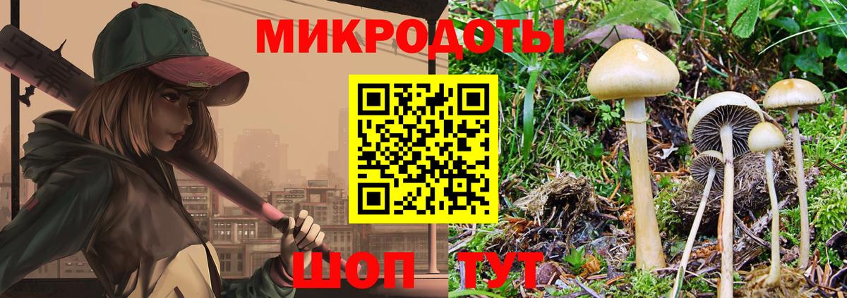Псилоцибиновые грибы Psilocybe  что такое   Юрга  Вход с VPN 